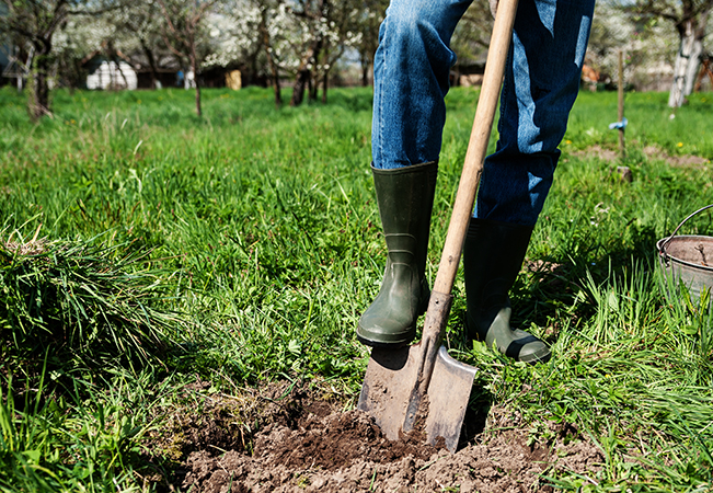 Person digging a hole in the ground