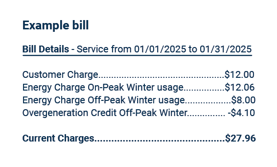 Image of a sample net metering bill