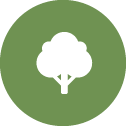 icon of a tree